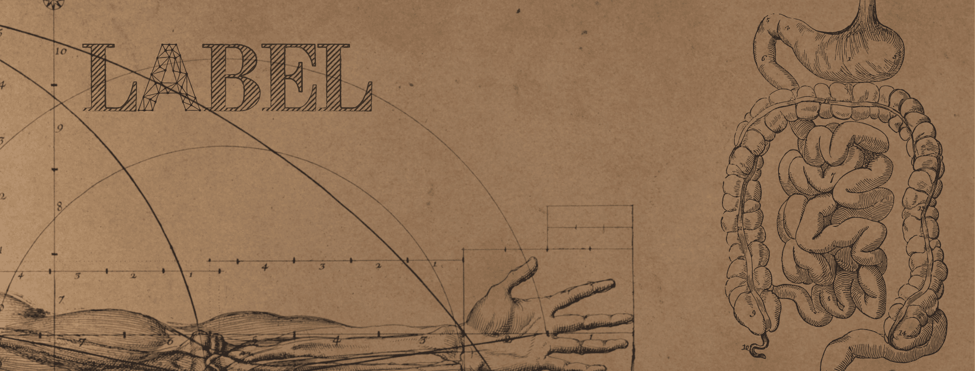 The Anatomy of a Label